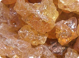 Ilustración de Boswellin, extracto de incienso para la salud articular.