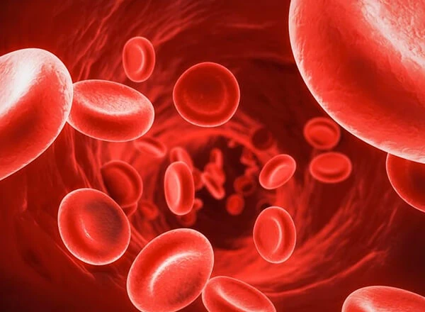 Representación visual de la testosterona y hormonas masculinas