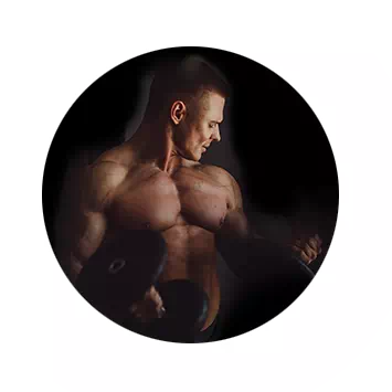 Ilustración del complejo vascular de Nutrigo Lab Strength para mejor 'pump'